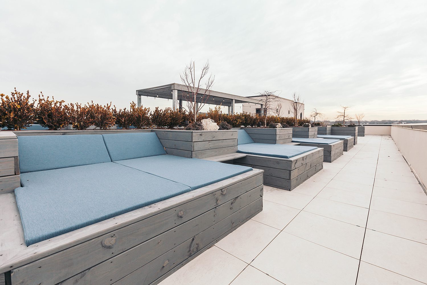 A row of benches with blue cushions on top.